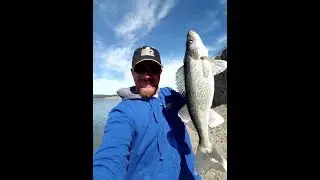 Walleye Fishing Keyhole/ Pre fishing NEWWA Spring Tourney