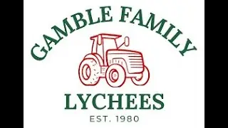Gamble Family Lychees | Tasting lychees - Slusies & Ice Cream
