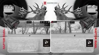HIKMICRO RAPTOR RQ50L vs. HIKMICRO RAPTOR RH50L