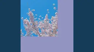 Blooming Day in Spring