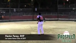 Hector Perez Prospect Video, RHP, Las Lomas Potros Class of 2017