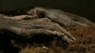 CHINA'S SECRET MUMMIES