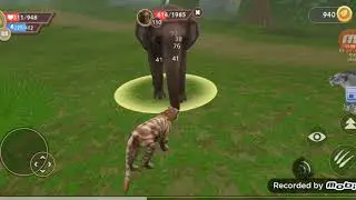 WildCraft Türkçe oynanış {Kaplan 90 lvl}