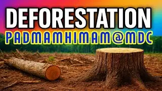 SAVE TREES SAVE LIFE - STOP DEFORESTATION NOW! || 100% EXAM NOTES