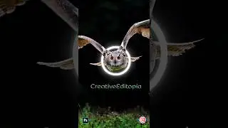 Photoshop Editing Latter Portrait with animal Image #photoshop #editing #shorts