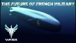 THE FUTURE OF THE FRENCH ARMED FORCES