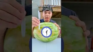 Can a Plastic Knife Cut a Watermelon?