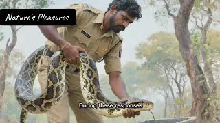 Daily Animal News | Rare Births, New Species & Wildlife Encounters &mdash; Jan 7, 2026