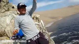 Pesca de Chita de 5 kilos ,salida de pesca con suscriptor del canal , pesca desde peña