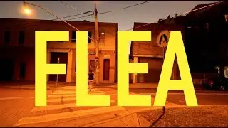 FLEA Short Film