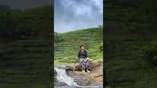 Budget friendly resort in vagamon #vagamon #idukki #kerala #love #travel #resort #keralabackwaters