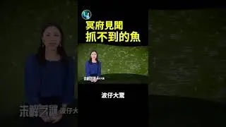 冥府見聞：抓不到的魚| #未解之謎 扶搖