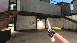 TF2 Meet the Big Earner.