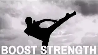 The Essence of Internal Martial Arts, Volume 1: Esoteric Fighting   Techniques and Healing Method...