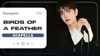 Seungmin - 