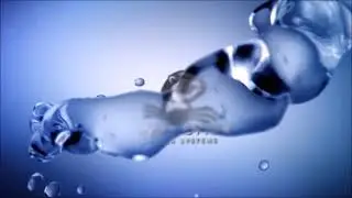 The Best Choice, Aqua Otter Water Systems