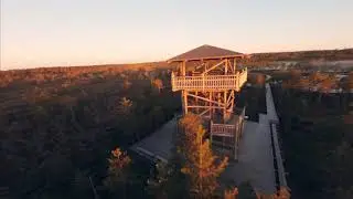Viru Bog 5AM cruising