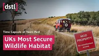 Unique Wildlife Habitat: Time capsule of years gone past