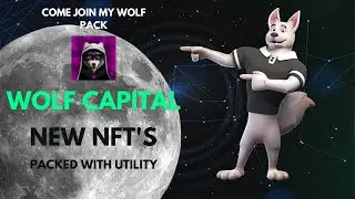 Wolf Capital - NEW NFT's - and a CASINO