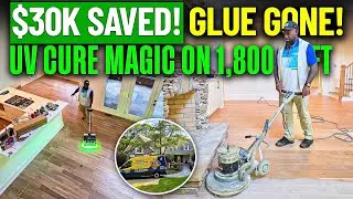 $30,000 Saved! Glue Removal + UV Cure on 1,800 SqFt in Columbia, SC | Hardwood Floor Restoration