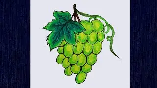 How to draw Grapefruit | Grape drawing step by step | Fruit drawing easy | Easy Color drawing