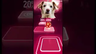 Tiles Hop| Cute Dog 2 #tileshop #dog #shorts #cute