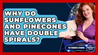 Why Do Sunflowers And Pinecones Have Double Spirals? - The Numbers Channel