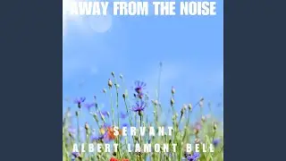 Away From The Noise