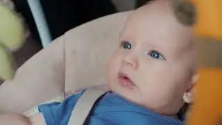 Planet Wise Wet Diaper Bag, Jewel Woods, Large Review