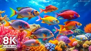 AQUARIUM 8K UHD - Beautiful Fish Swimming & Colorful Sea Life 🐳 Relaxing Music of the Blue Ocean #10
