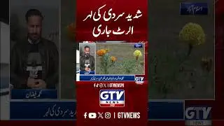 Cold Wave In Pakistan | Weather Updates | GTV News #shorts