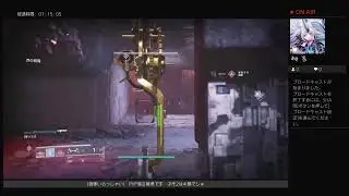 D2PVPやるぜ！