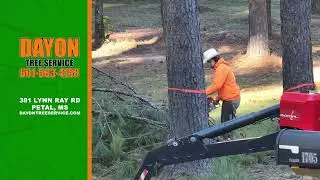 WDAM Commercial - Dayon Tree Service - Storm Cleanup: Fallen Trees Drone [JAN26] (:15)