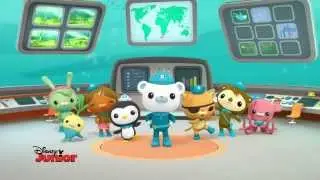 Octonauts, Saison 3 - Episode 2