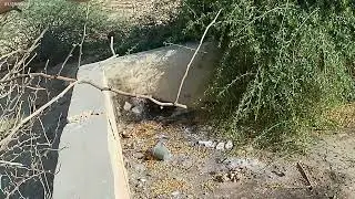 جولة في مزارع السعودية قديمة