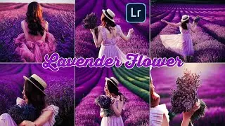 Lightroom Mobile Presets Free DNG || Lavender Flower Preset | Creative Flowers Photography
