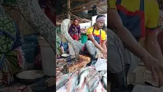 Unbelievable Giant Fish Cutting #Live | Real Market Experience | Dulal Fish Cutting #fish #fishing🦈🐋