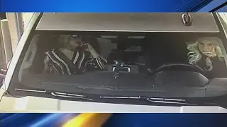 Felony Lane Gang