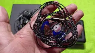 UM MEST mk2 VS Vision Ears VE7