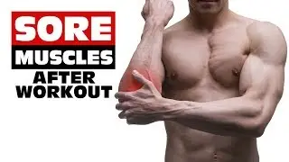 Why Do Muscles Get Sore After Working Out