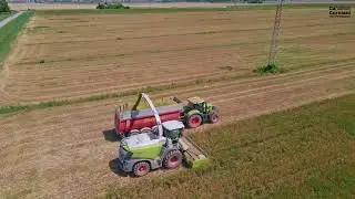 Claas Jaguar 970 + DirectDisc 6000 | Ca' Corniani & Genagricola