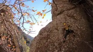 Big Fall at Wheeler Gorge