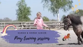 PONY TRAINING SESSION; GROUNDWORK,WORK IN HAND, LUNGING, NECKROPE🦄🌜🤎🤍