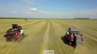 Гусеничный зерноуборочный комбайн VECTOR 450