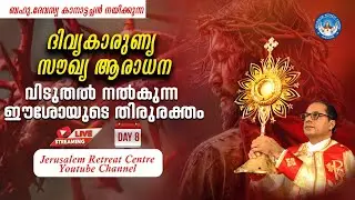 DIVINE MERCY HEALING ADORATION  (28/Dec/ 2025 ), ദിവ്യകാരുണ്യ സൗഖ്യ ആരാധനാ.