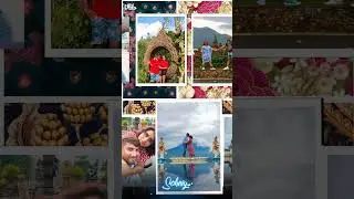 Bali tour ❤ #viral #cuple  #love #bali #indonesia #internationaltour #trip #tour #lovebirds