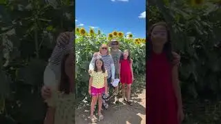 Our Sunflower Experience