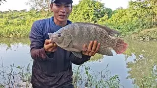 Tìm Rô Phi 5kg Tự nhiên và cái kết 