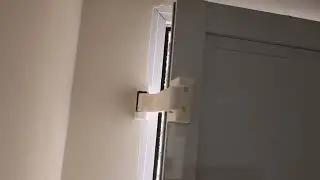 Pet door holder