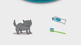 Why Is Feline Dental Care Important?